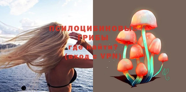 ГАЛЛЮЦИНОГЕННЫЕ ГРИБЫ Белоозёрский