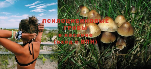 бошки Балахна