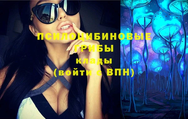 ГАЛЛЮЦИНОГЕННЫЕ ГРИБЫ Белоозёрский