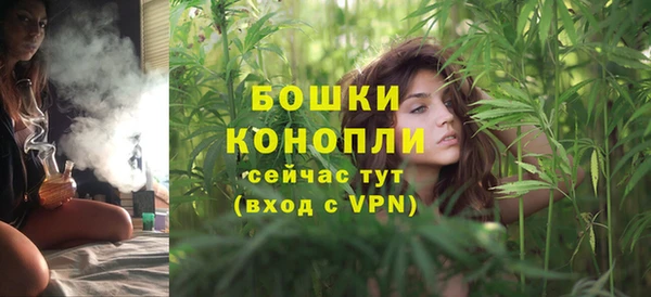 ГАЛЛЮЦИНОГЕННЫЕ ГРИБЫ Белоозёрский