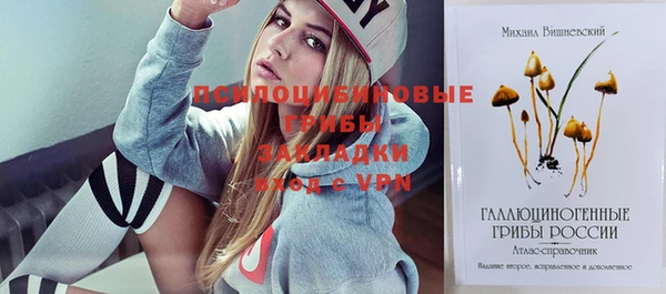 бошки Балахна